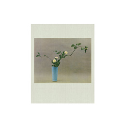 IDEA Ikebana Idea Book